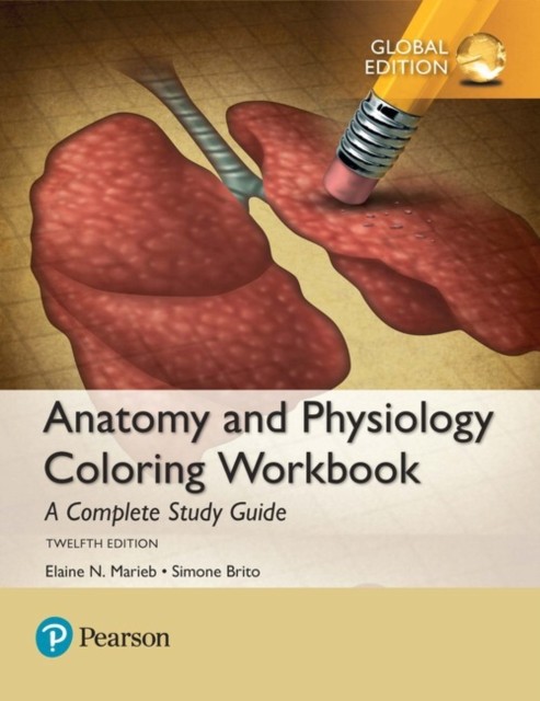 Anatomy and Physiology Coloring Workbook: A Complete Study Guide, Global Edition - Image 3