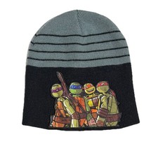 Teenage Mutant Ninja Turtles Beanie Knit Hat Boys Girls Adult Nickelodeon