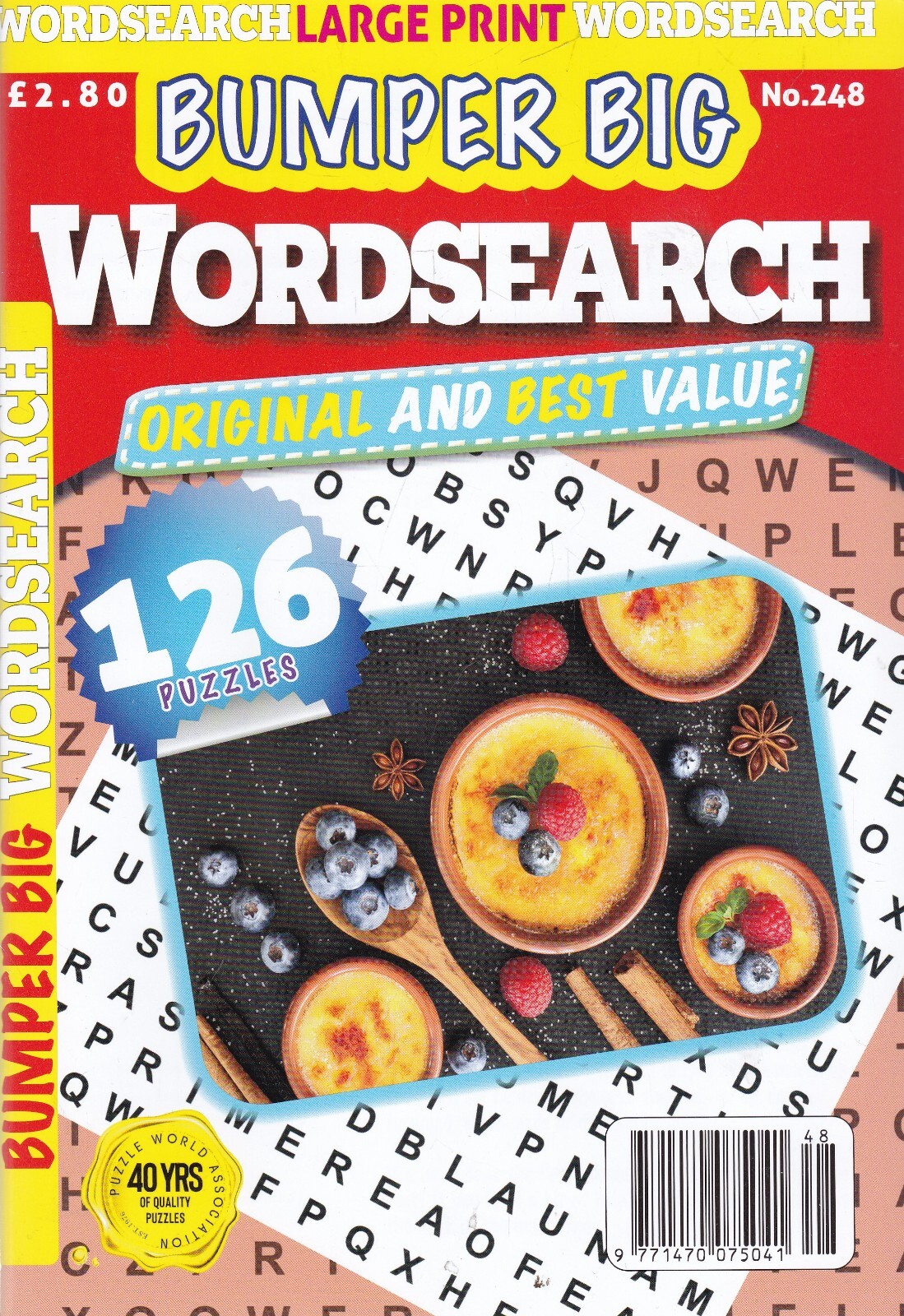Wordsearch Book Bumper Big Puzzle Magazine issue 248 126 Large Print Puzzles NEW