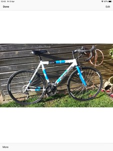 barracuda racing bike