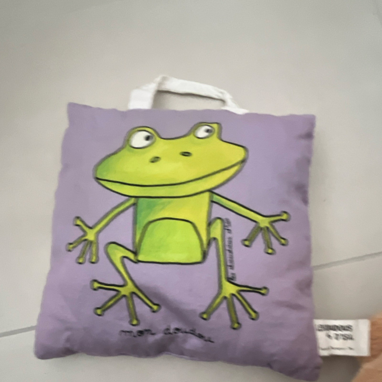 Pillow les Bonbons d'Isa Frog 100% Cotton Purple Green Square Decorative 22x22cm