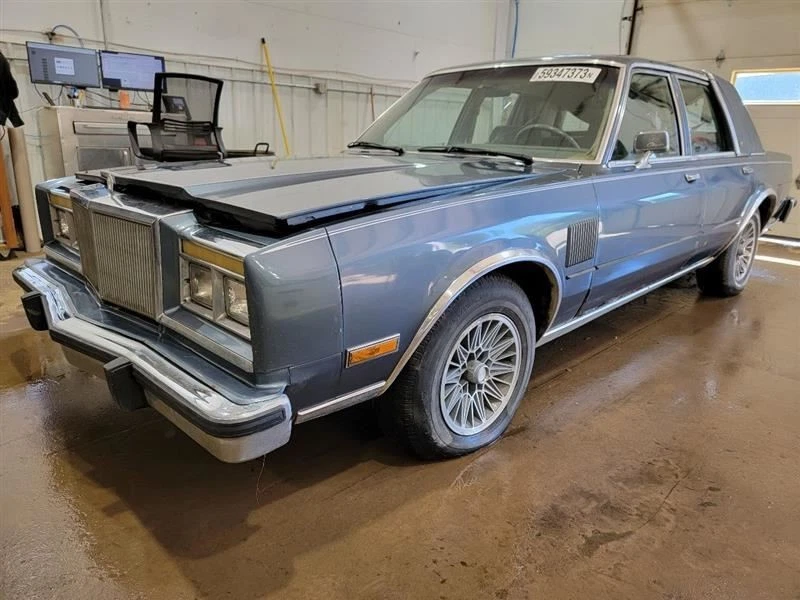 Passenger Right Rear Door Vent Glass Fits 80-89 DIPLOMAT 556880 Foto 2 de 4