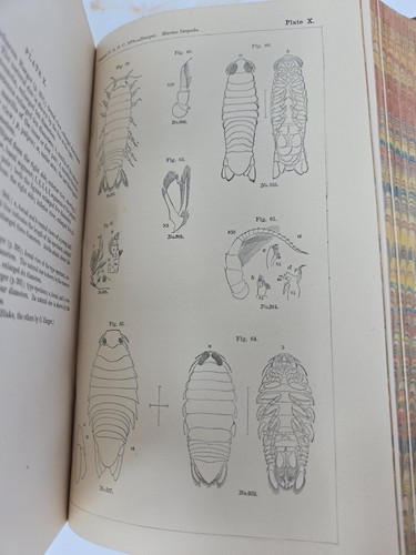 1878 US Commission of Fish & Fisheries Report Part VI Gov’t Printing Office 1880 - Picture 9 of 10