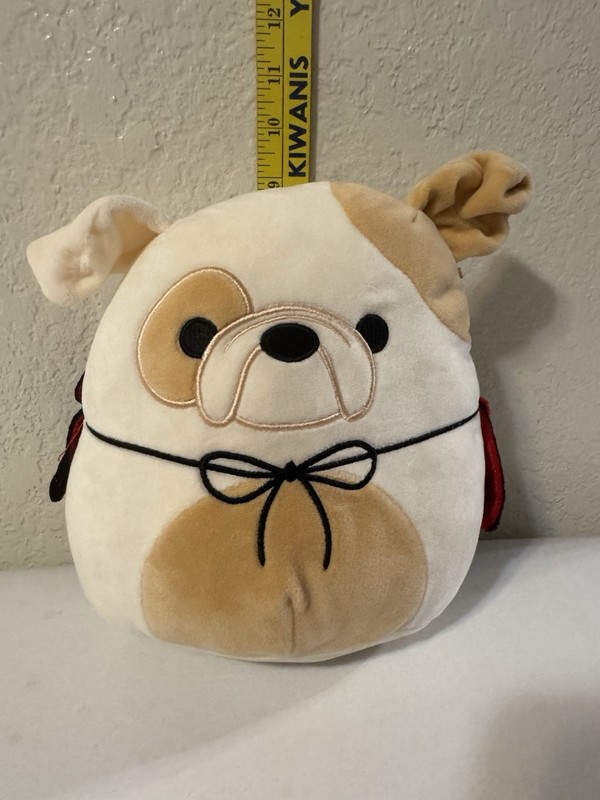 Original Squishmallows 8" Brock The Vampire Bulldog Plush Halloween Squad Used