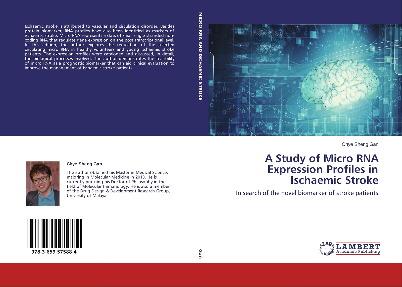 Thumbnail - Chye Sheng Gan | A Study Of Micro Rna Expression Profiles In Ischaemic