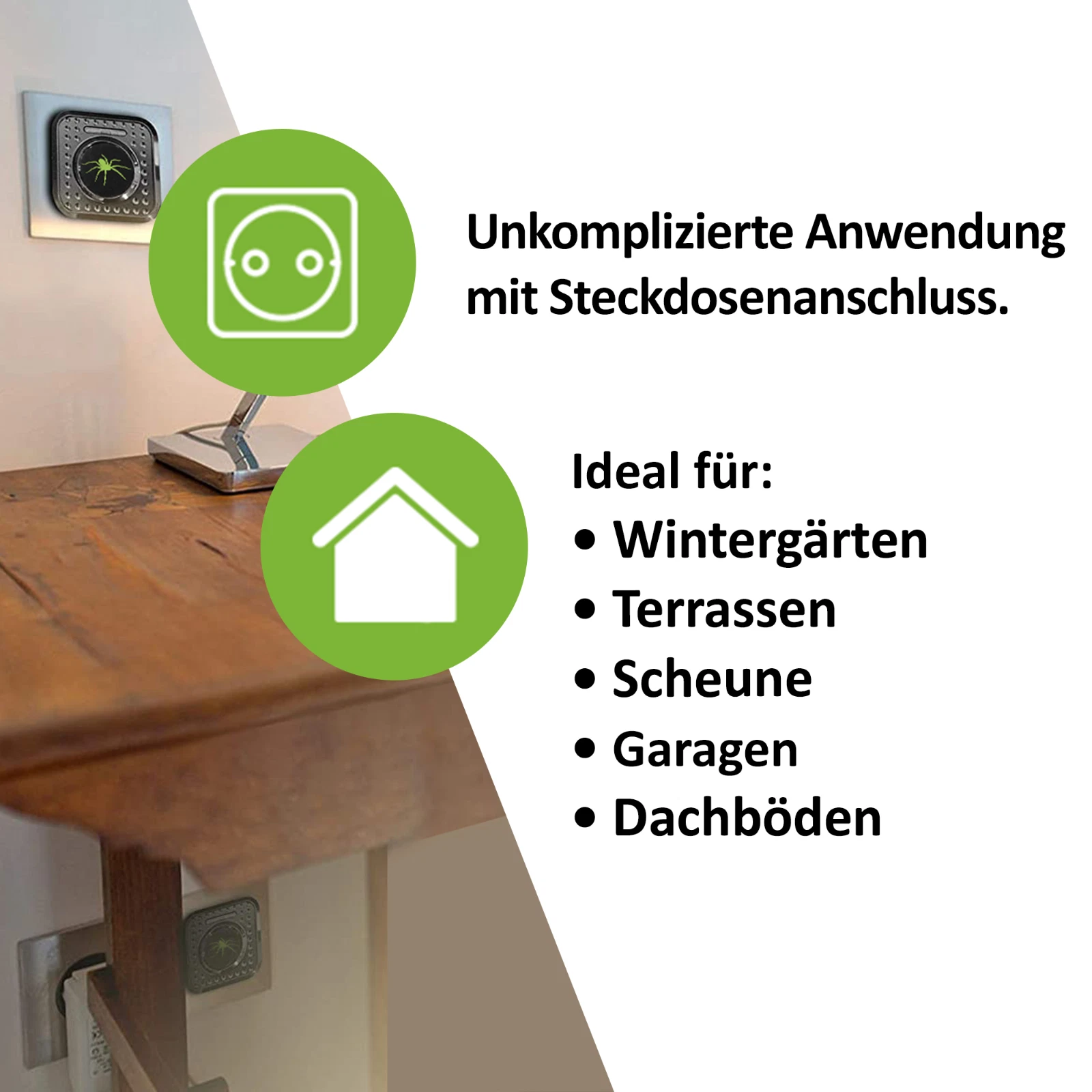 Bild 5 von 6