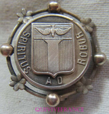 RG1607 - SPIRITUS AD ROBUR PIN BADGE - BEAUVAIS