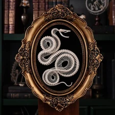 real snake skeleton taxidermy, snake skull fangs, python, anaconda oddities