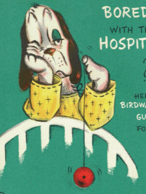 1950's Anthropomorphic Bird Dog w/ Birdwatcher's Handbook Vintage Greeting Card
