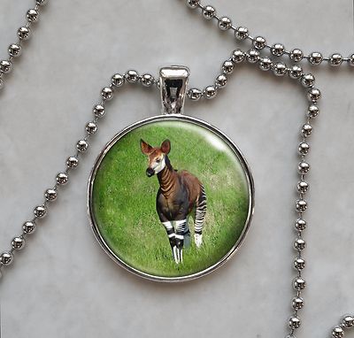 Okapi Forest Giraffe Zebra Giraffe Mammal Animal Pendant Necklace