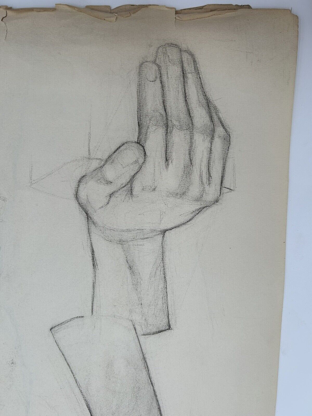 Picture 5 of 11