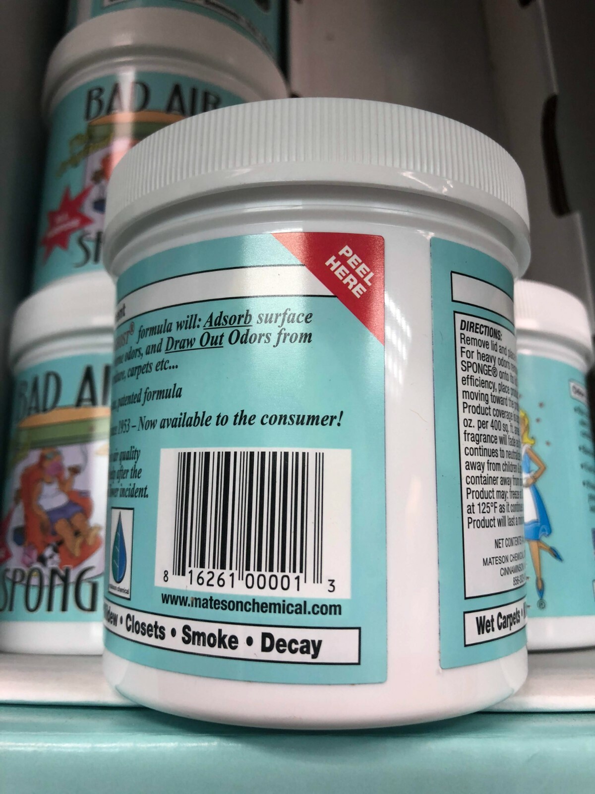 Bad Air Sponge, 14 Oz, All Purpose Odor Absorbing Neutralant eBay