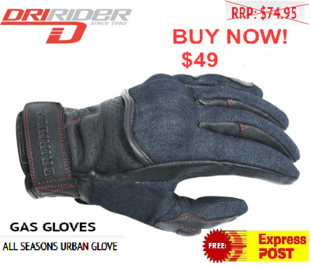 dririder winter gloves