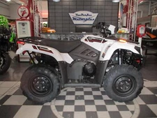 2025 Kawasaki Brute Force 450 4x4