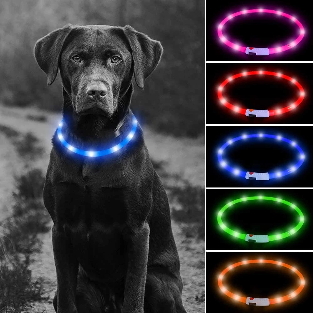 Usb rechargeable dog light sales