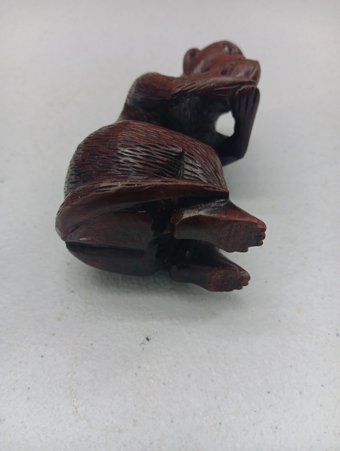 Picture 5 of 5