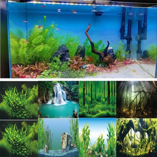 1X HD Fish Tank Background Sticker 3D Landscape Poster Aquarium Decor sticker - Afbeelding 1 van 14