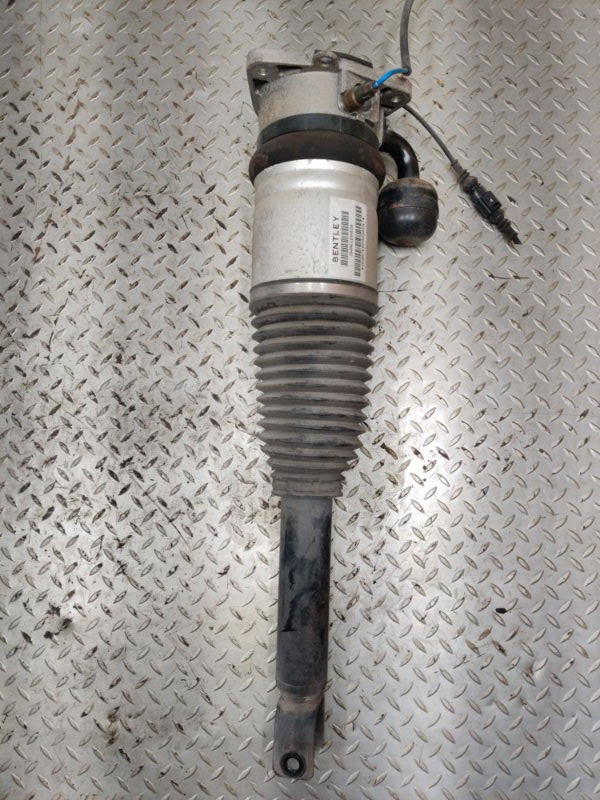 Bentley Continental GT 2005-2010 Rear Right Damper P/N 3W0616001B