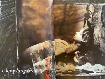 USED Yaso Art Magazine Japan Vampire Takato Yamamoto Koitsukihime
