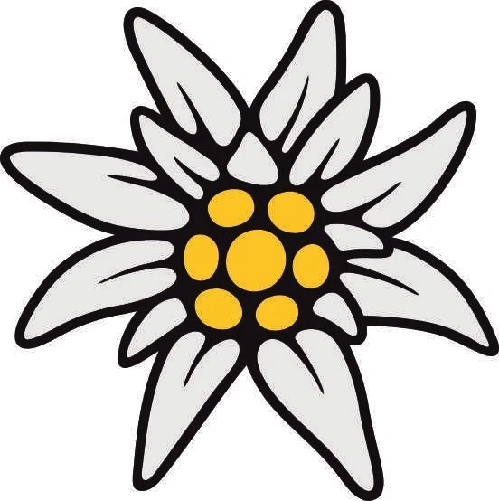 U24 Adesivo bianco pregiato adesivo auto sticker 9 x 9 cm taglio contorno