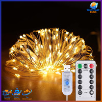 LED Lichterkette 10M 100LED Kupferdraht Micro Warmweiß FüR InnenräUme