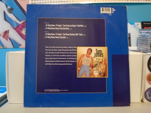 TOM JONES-If I Only Knew-Germany 12" Vinyl LP-4 Mixes-1994 Interscope - Picture 2 of 2