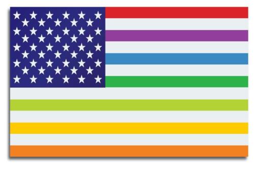 USA United States Rainbow Gay Lesbian Rights Flag Art Print Poster 24x36 inch - Afbeelding 1 van 1