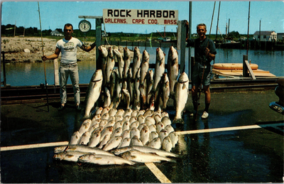 #ad Postcard Striped Bass Rock Harbor Orleans Cape Cod Massachusetts $16.99