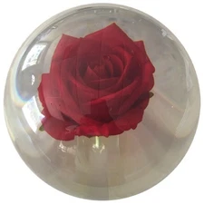 New in Original Box Undrilled 14.5# OTB Rose Bowling Ball