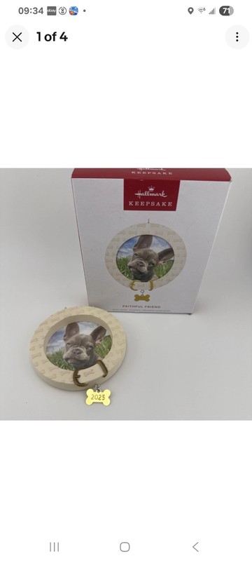 Hallmark Keepsake 2025 Faithful Friend Photo Dog Frame Ornament