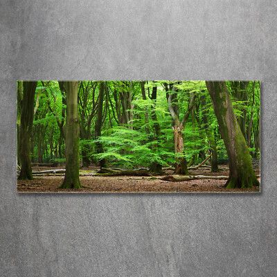 Acrylglas-Bild Wandbilder Druck 120x60 Deko Landschaften Niederlande Wald