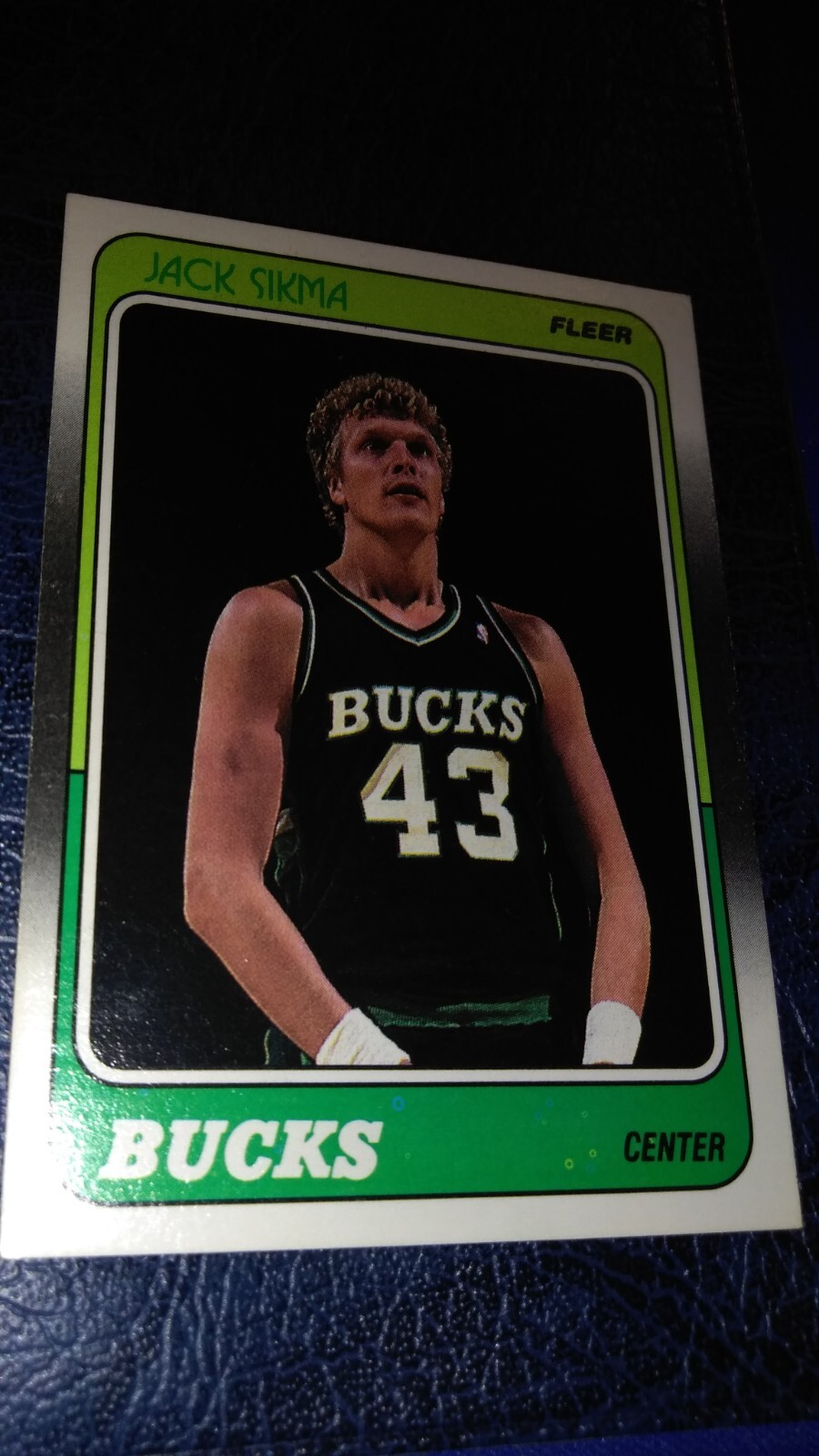 1988-89 Fleer Jack Sikma #76