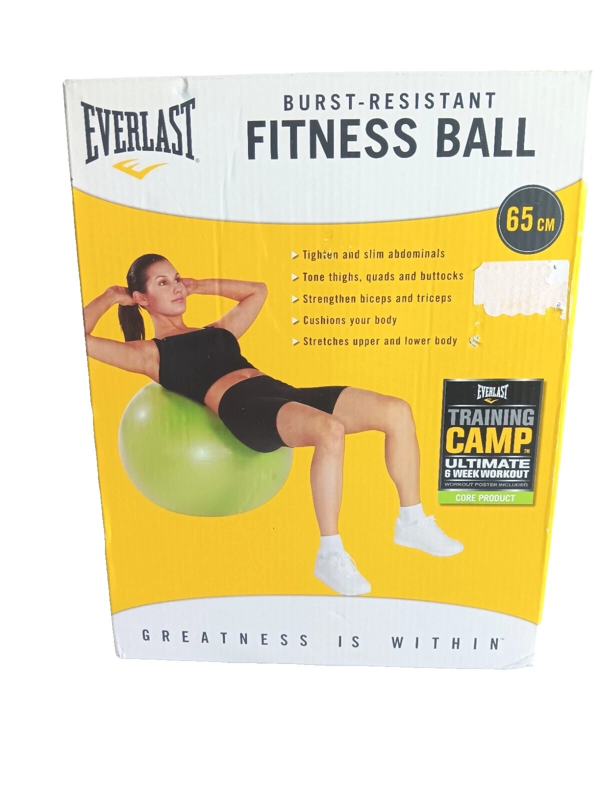 Everlast Bolas de Exercício