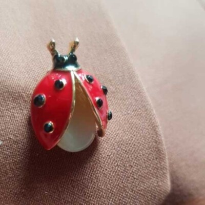 Fashion Ladybug Enamel Pin Metal Insect Bug Brooches Collective Brooch ...