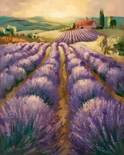 Rows of Lavender | Sunset Over Provence | Museum Fine Art Print