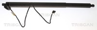 Gasfeder, KOFFER-/LADERAUM FÜR BMW X3 (F25) - Triscan 8710 11305