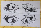 1940s WW2 Anti-German Propaganda "Find The 5th Pig" Fold Up Puzzle Leaflet — photo 2