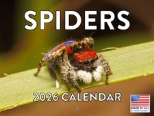 Spider Calendar 2026 Spiders Wall
