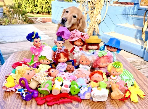 Vintage Strawberry Shortcake 43Pc Dolls Pets Minis Berry Wear Clothes Shoes Hats