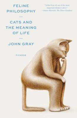 Feline Philosophy: Cats and the Meaning of Life - Paperback - VERY GOOD