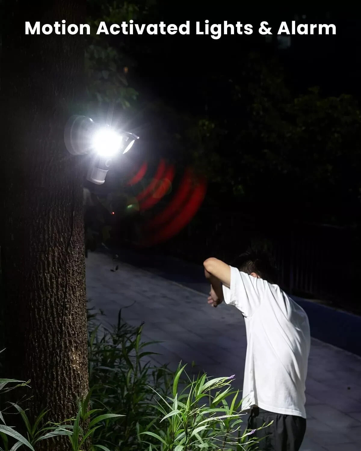 Photo 5/10