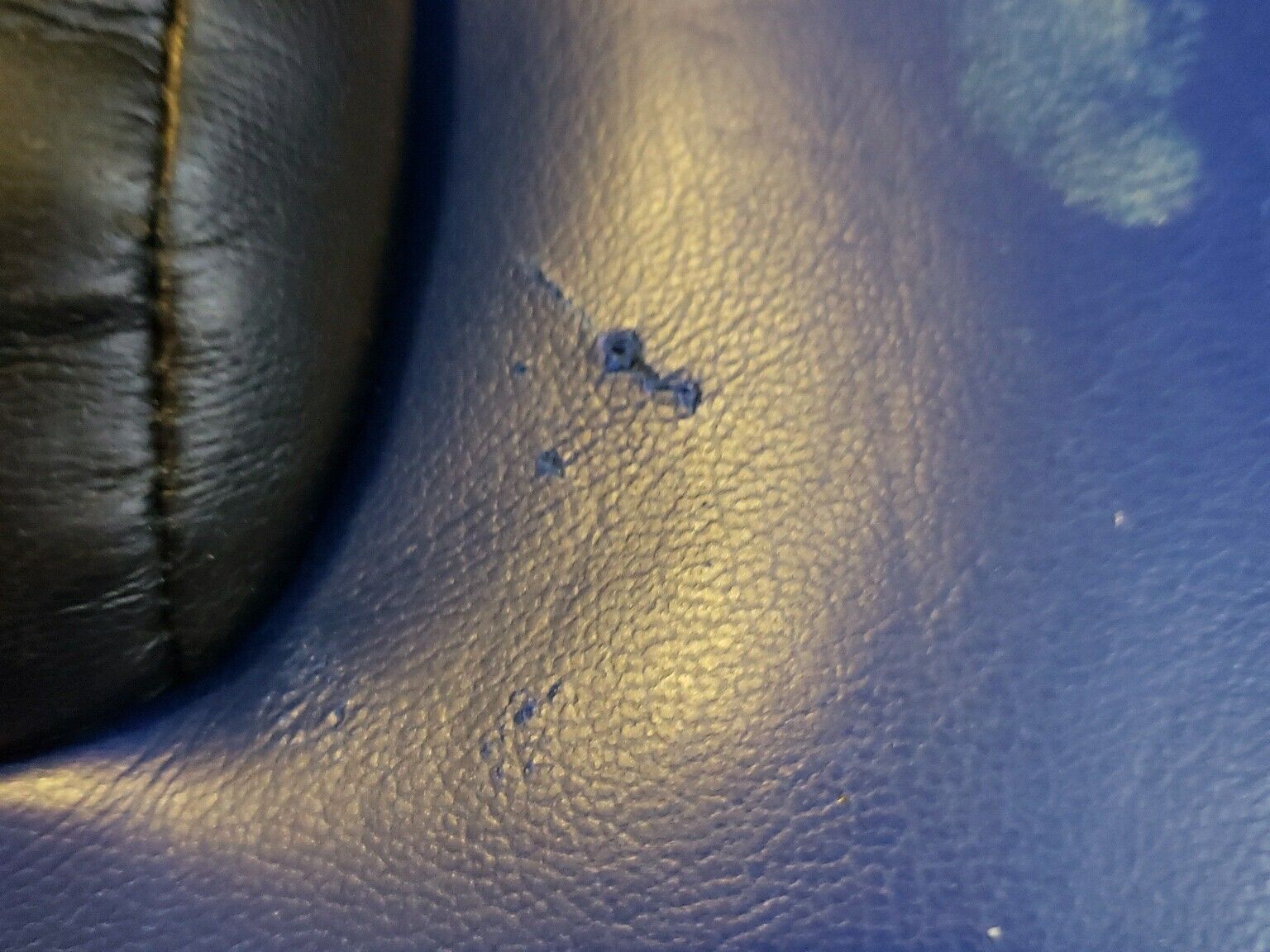 Foto 20 di 21