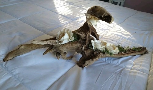 Epic Driftwood & Sola Flower Woodland Centerpiece Wedding Shower Event Decor #7