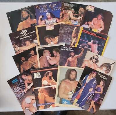 80s Wrestling Macho Man Randy Savage Poster & Pin-up Lot