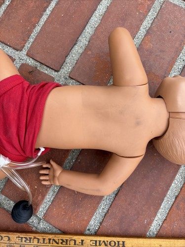 AMBU BABY CPR MANIKIN - Picture 15 of 17