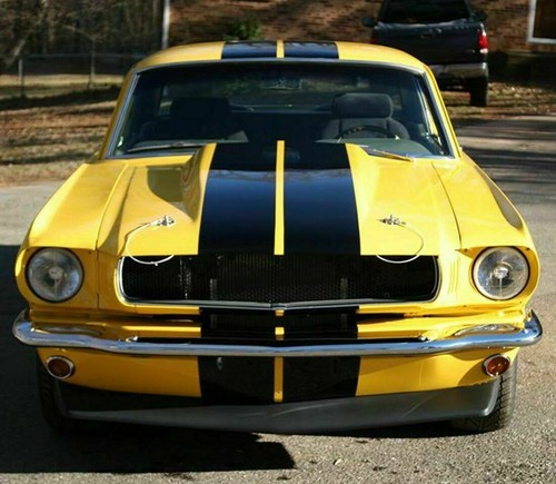Decal Graphic Stripe Kit For Classic Ford Mustang 67-73 Fastback Hardtop Shelby - Picture 7 of 23