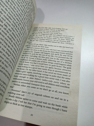 The Fine Colour of Rust P A O'Reilly Australian Fiction Paperback Novel Book - Picture 9 of 10