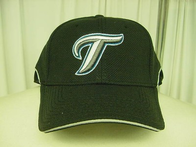 toronto blue jays spring training hat