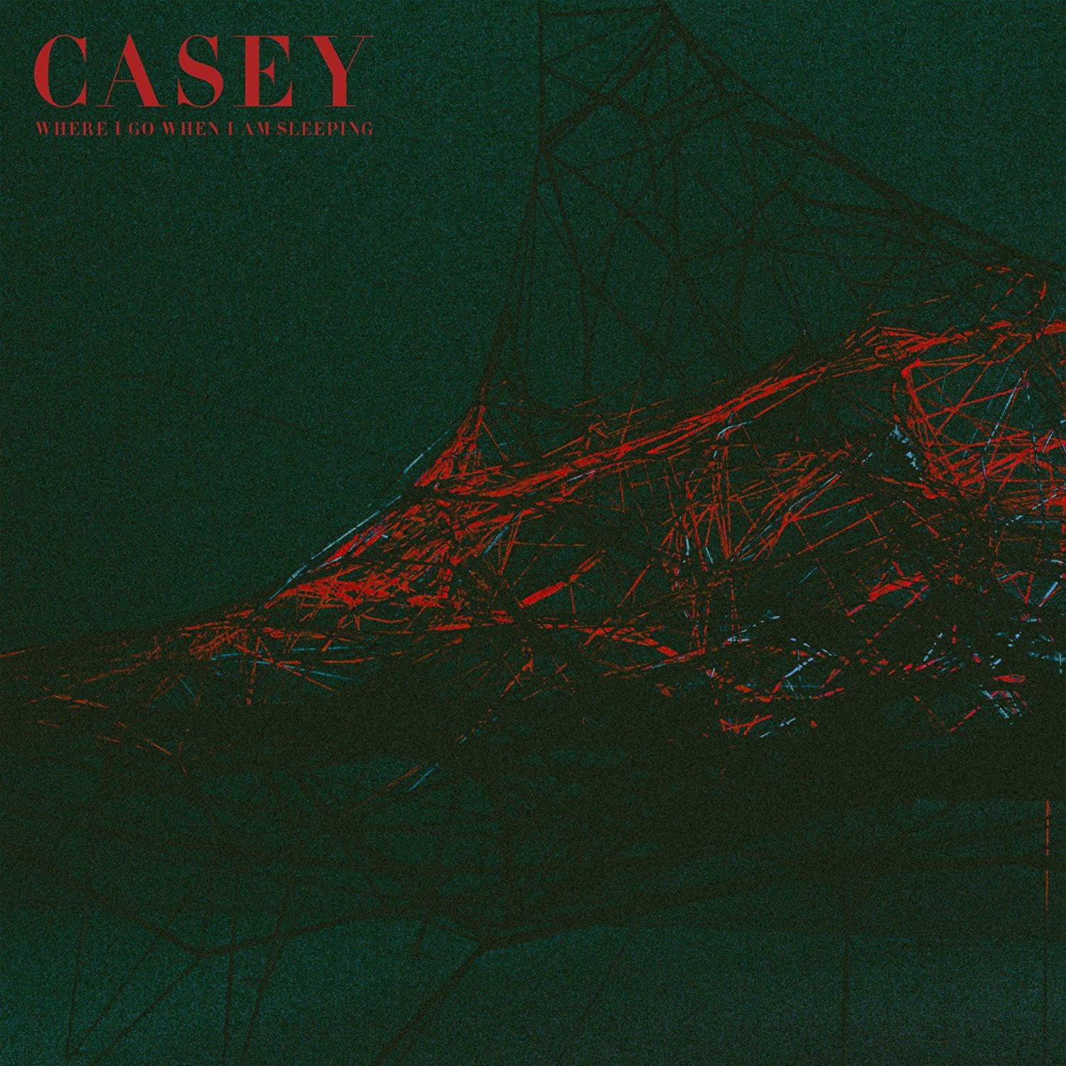 Альбом Casey Where I Go When IAm Sleeping (CD) (ИМПОРТ из Великобритании)