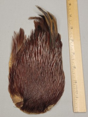 Lot 42,  Grade B,   Natural India Rooster Streamer Neck Cape Feathers